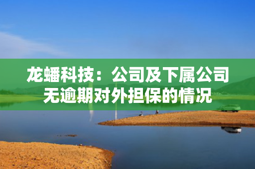龙蟠科技：公司及下属公司无逾期对外担保的情况