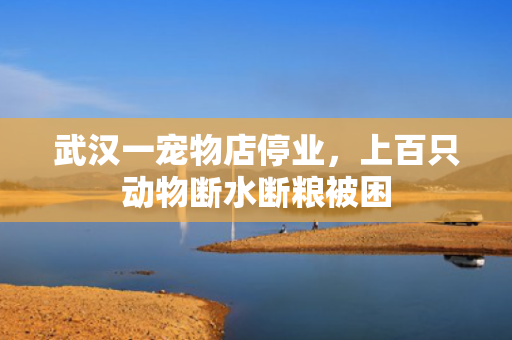 武汉一宠物店停业，上百只动物断水断粮被困