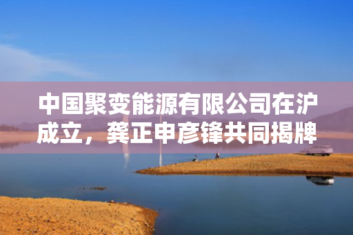 中国聚变能源有限公司在沪成立，龚正申彦锋共同揭牌