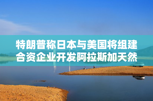 特朗普称日本与美国将组建合资企业开发阿拉斯加天然气项目