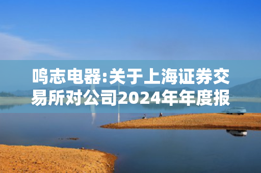 鸣志电器:关于上海证券交易所对公司2024年年度报告的信息披露监管问询函的回复公告