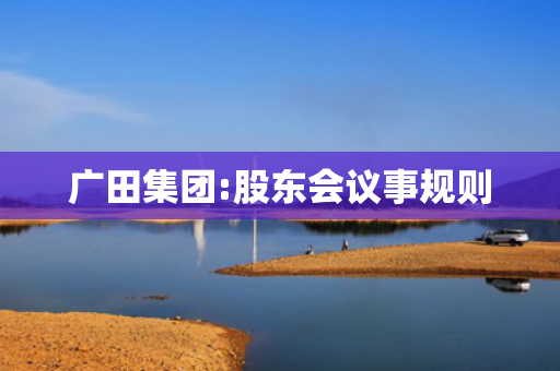 广田集团:股东会议事规则