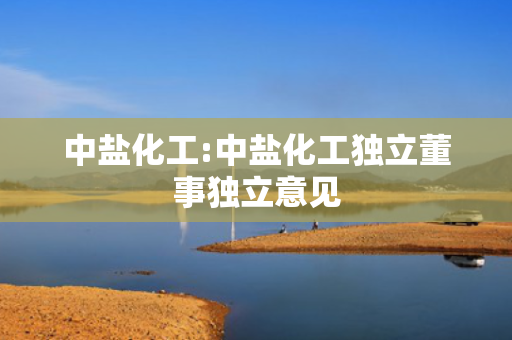 中盐化工:中盐化工独立董事独立意见