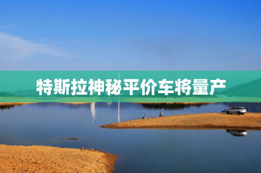 特斯拉神秘平价车将量产