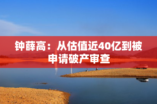 钟薛高：从估值近40亿到被申请破产审查