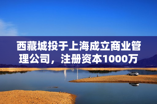 西藏城投于上海成立商业管理公司，注册资本1000万元