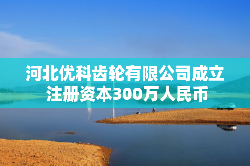 河北优科齿轮有限公司成立 注册资本300万人民币