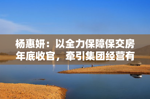 杨惠妍：以全力保障保交房年底收官，牵引集团经营有序转段