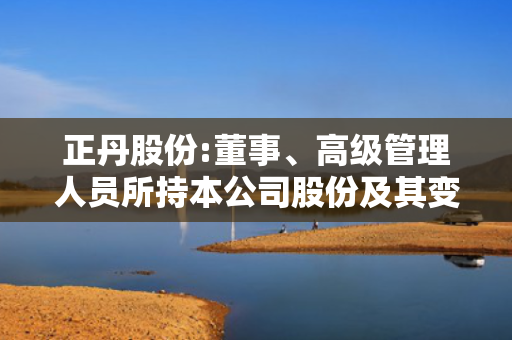 正丹股份:董事、高级管理人员所持本公司股份及其变动管理制度 第1张