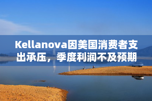 Kellanova因美国消费者支出承压，季度利润不及预期 第1张