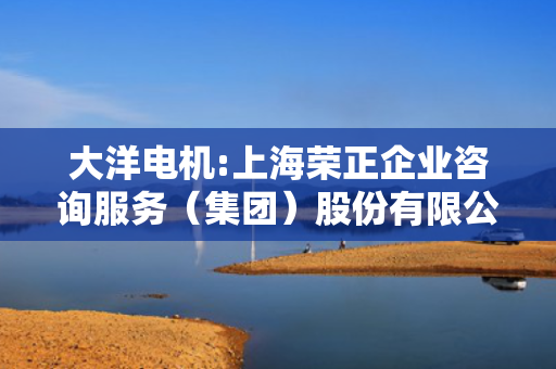 大洋电机:上海荣正企业咨询服务（集团）股份有限公司关于中山大洋电机股份有限公司2025年股票增值权激励计划（草案）之独立财务顾问报告