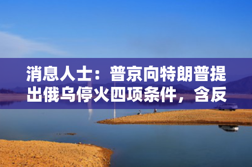 消息人士：普京向特朗普提出俄乌停火四项条件，含反对西方在乌驻军