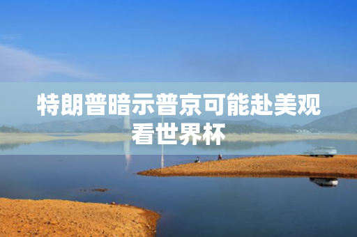 特朗普暗示普京可能赴美观看世界杯