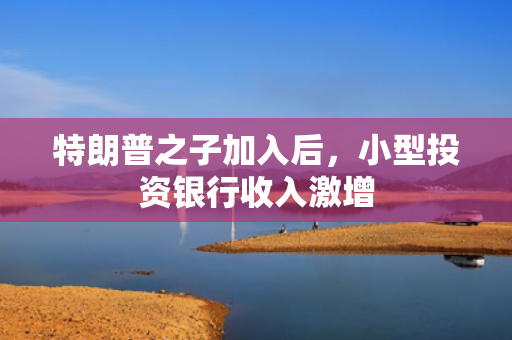 特朗普之子加入后，小型投资银行收入激增