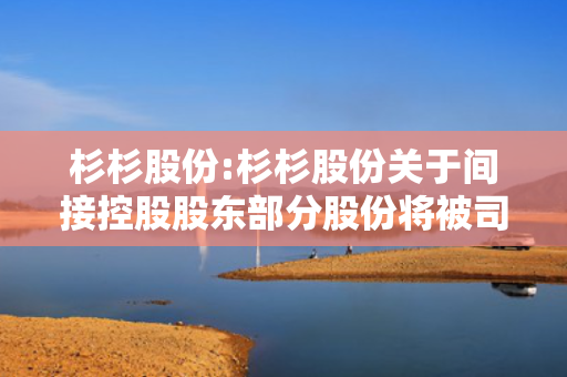 杉杉股份:杉杉股份关于间接控股股东部分股份将被司法拍卖的提示性公告