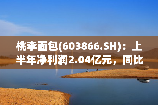桃李面包(603866.SH)：上半年净利润2.04亿元，同比下降29.70% 第1张