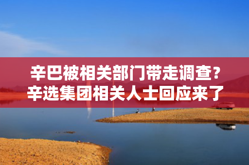 辛巴被相关部门带走调查？辛选集团相关人士回应来了 第1张