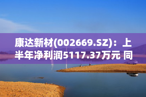 康达新材(002669.SZ)：上半年净利润5117.37万元 同比扭亏