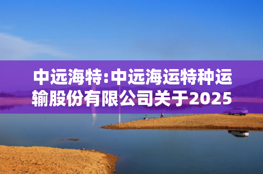 中远海特:中远海运特种运输股份有限公司关于2025年度融资性对外担保额度的公告
