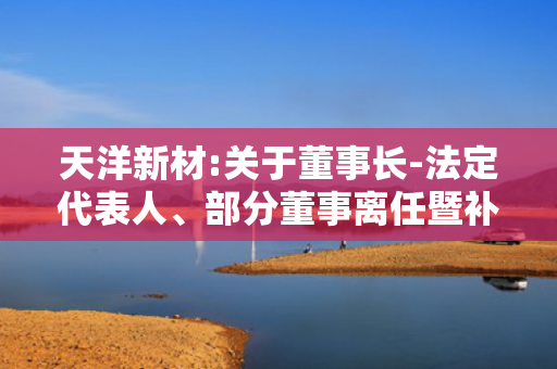 天洋新材:关于董事长-法定代表人、部分董事离任暨补选董事的公告 第1张