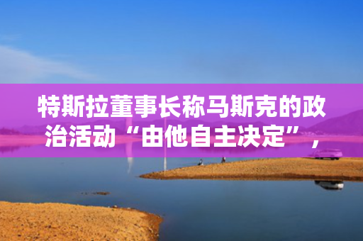 特斯拉董事长称马斯克的政治活动“由他自主决定”，无需担忧 第1张