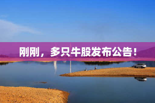 刚刚，多只牛股发布公告！ 第1张