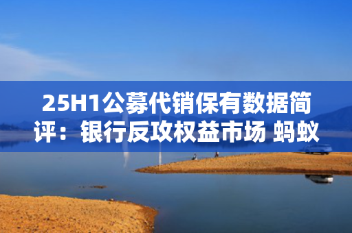 25H1公募代销保有数据简评：银行反攻权益市场 蚂蚁招行份额再扩张 第1张