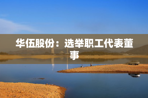 华伍股份：选举职工代表董事 第1张