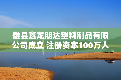 雄县鑫龙朋达塑料制品有限公司成立 注册资本100万人民币 第1张