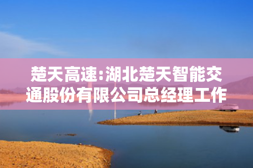 楚天高速:湖北楚天智能交通股份有限公司总经理工作细则 第1张