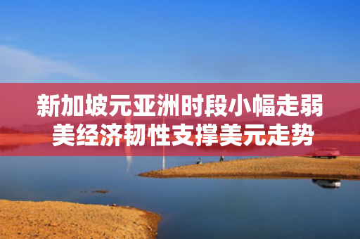 新加坡元亚洲时段小幅走弱 美经济韧性支撑美元走势