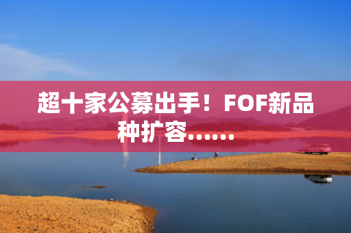 超十家公募出手！FOF新品种扩容……