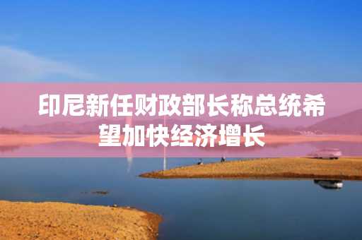 印尼新任财政部长称总统希望加快经济增长 第1张