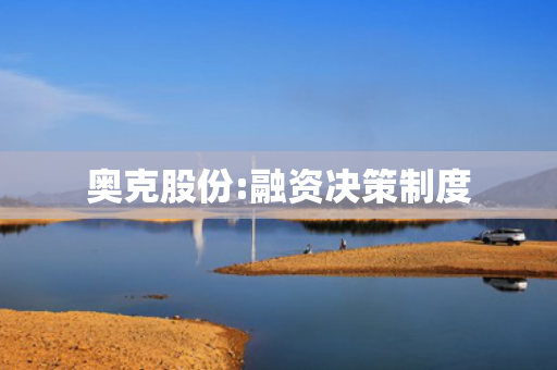 奥克股份:融资决策制度