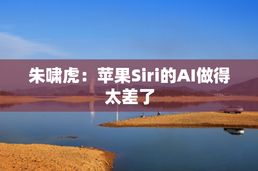朱啸虎：苹果Siri的AI做得太差了 第1张
