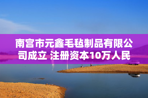 南宫市元鑫毛毡制品有限公司成立 注册资本10万人民币 第1张