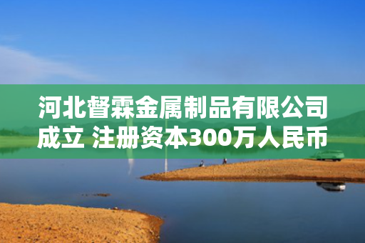 河北督霖金属制品有限公司成立 注册资本300万人民币