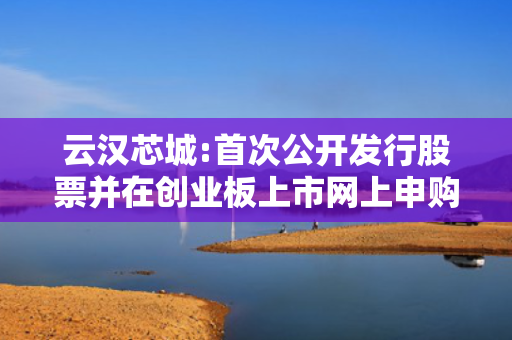 云汉芯城:首次公开发行股票并在创业板上市网上申购情况及中签率公告