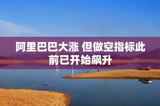 阿里巴巴大涨 但做空指标此前已开始飙升