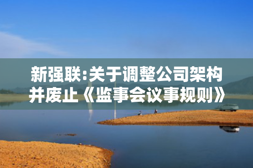 新强联:关于调整公司架构并废止《监事会议事规则》的公告