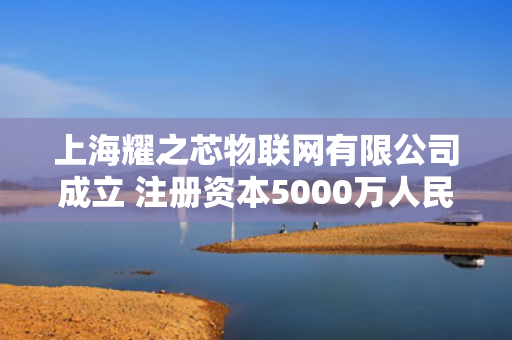 上海耀之芯物联网有限公司成立 注册资本5000万人民币 第1张