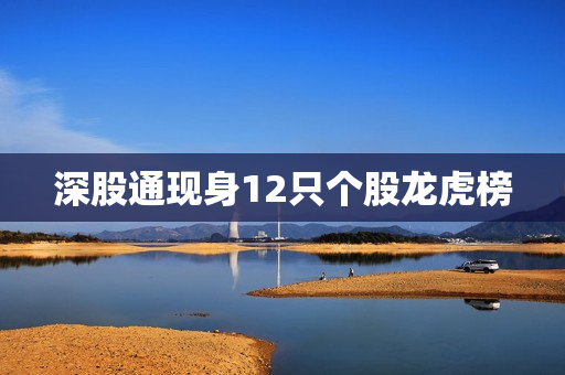 深股通现身12只个股龙虎榜