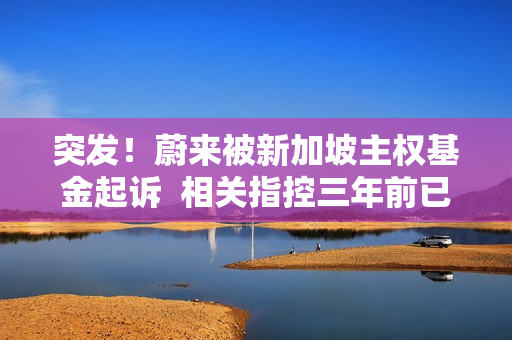 突发！蔚来被新加坡主权基金起诉  相关指控三年前已澄清