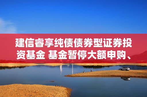 建信睿享纯债债券型证券投资基金 基金暂停大额申购、大额转换转入、 定期定额投资公告 第1张
