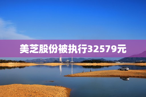 美芝股份被执行32579元 第1张