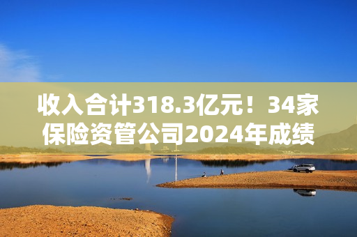 收入合计318.3亿元!34家保险资管公司2024年成绩单出炉 第1张 收入合计318.3亿元!34家保险资管公司2024年成绩单出炉 第1张