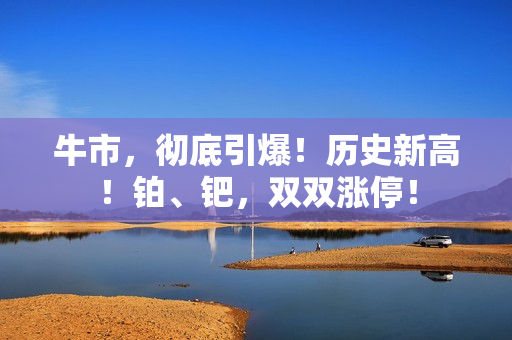 牛市，彻底引爆！历史新高！铂、钯，双双涨停！ 第1张