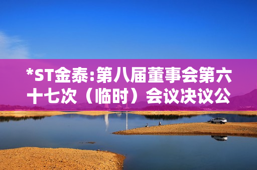 *ST金泰:第八届董事会第六十七次（临时）会议决议公告