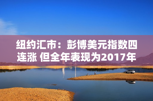 纽约汇市：彭博美元指数四连涨 但全年表现为2017年以来最差 第1张