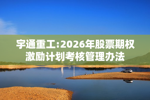宇通重工:2026年股票期权激励计划考核管理办法